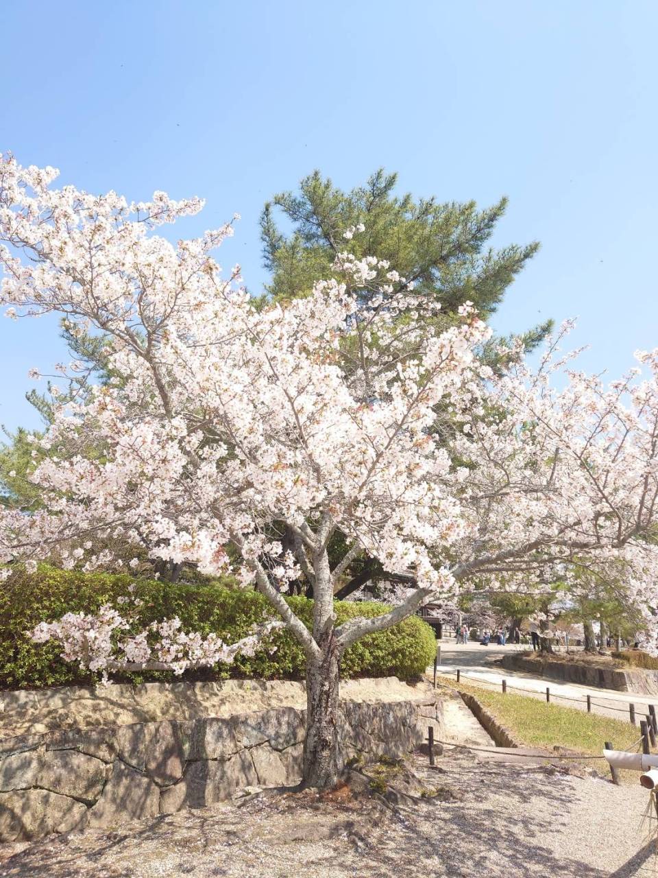 ギャラリーカフェ鵤樂舎